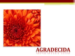 A declaração de óbito