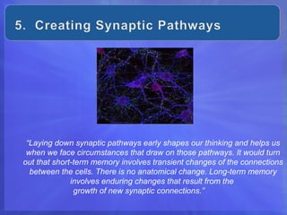 “Laying down synaptic pathways early shapes our thinking and helps us
 when we face circumstances that draw on those pathways. It would turn
out that short-term memory involves transient changes of the connections
  between the cells. There is no anatomical change. Long-term memory
              involves enduring changes that result from the
               growth of new synaptic connections.”
 