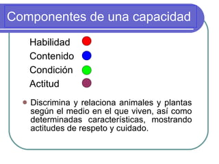 Componentes de una capacidad  Discrimina y relaciona animales y plantas según el medio en el que viven, así como determinadas características, mostrando actitudes de respeto y cuidado.   Habilidad Contenido Condición Actitud 