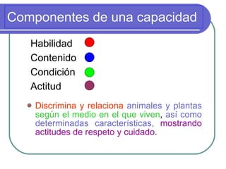 Componentes de una capacidad  Discrimina y relaciona   animales y plantas   según el medio en el que viven ,  así como determinadas características,   mostrando actitudes de respeto y cuidado.   Habilidad Contenido Condición Actitud 