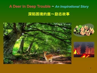 1
深陷困境的鹿～励志故事
 