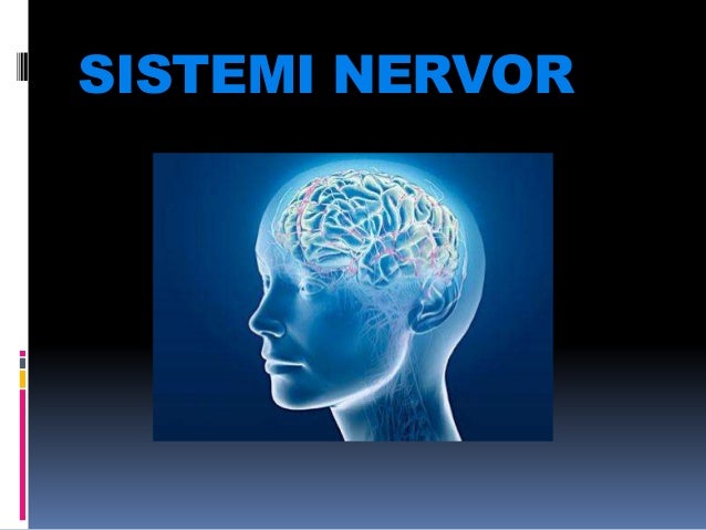 Rezultate imazhesh pÃ«r sistemi nervor