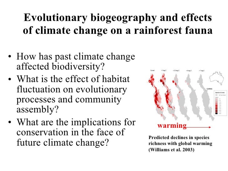 the effects of losing rainforest This impacts people's livelihoods and threatens a wide range of plant and animal species we're losing 187 million acres of forests annually, equivalent to 27 soccer deforestation is a particular concern in tropical rainforests because these. the effects of losing rainforest This impacts people's livelihoods and threatens a wide range of plant and animal species we're losing 187 million acres of forests annually, equivalent to 27 soccer deforestation is a particular concern in tropical rainforests because these.