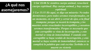 ¿A qué nos
asemejaremos?
1 Cor 15:44 Se siembra cuerpo animal, resucitará
cuerpo espiritual. Hay cuerpo animal, y hay cuerpo
espiritual.
1 Cor 15:51 He aquí, os digo un misterio: No todos
dormiremos; pero todos seremos transformados, en
un momento, en un abrir y cerrar de ojos, a la final
trompeta; porque se tocará la trompeta, y los
muertos serán resucitados incorruptibles, y nosotros
seremos transformados. Porque es necesario que
esto corruptible se vista de incorrupción, y esto
mortal se vista de inmortalidad. Y cuando esto
corruptible se haya vestido de incorrupción, y esto
mortal se haya vestido de inmortalidad, entonces se
cumplirá la palabra que está escrita: Sorbida es la
muerte en victoria
 