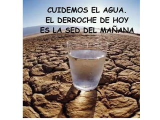 CUIDEMOS EL AGUA. EL DERROCHE DE HOY ES LA SED DEL MAÑANA 