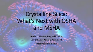 Crystalline Silica:
What’s Next with OSHA
and MSHA
Adele L. Abrams, Esq., ASP, CMSP
Law Office of Adele L. Abrams PC
www.safety-law.com
 