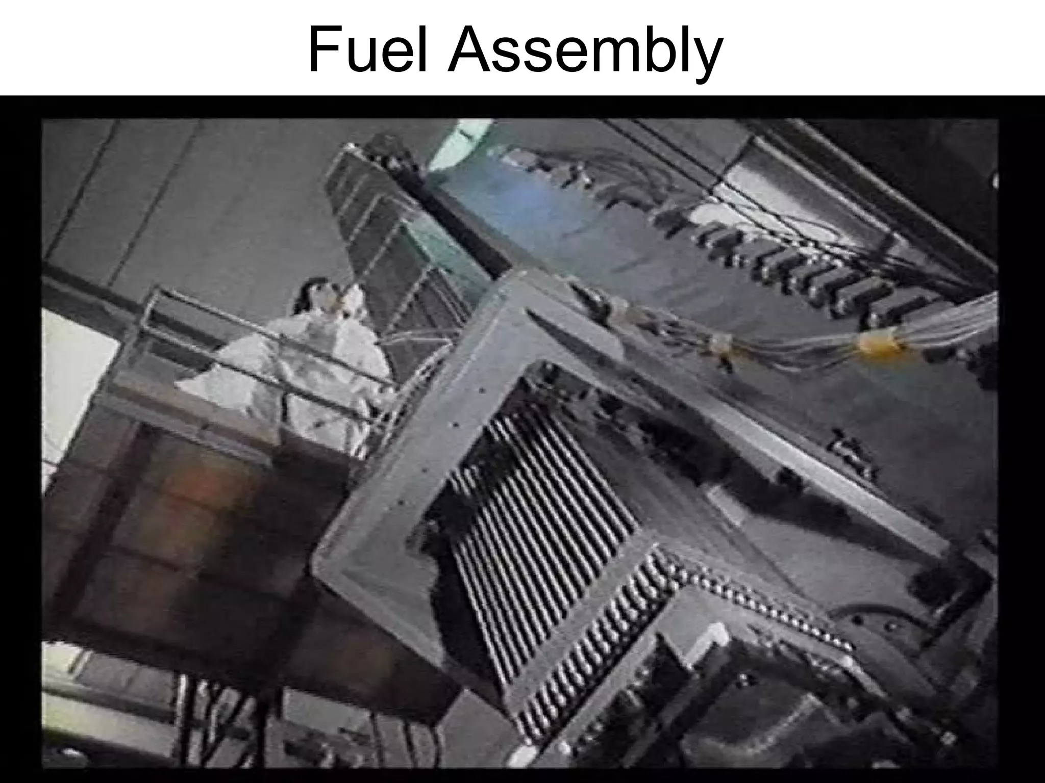 Fuel Assembly 
 