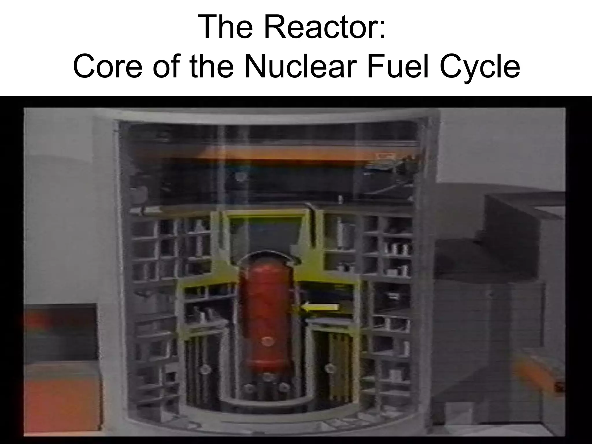 The Reactor: 
Core of the Nuclear Fuel Cycle 
 