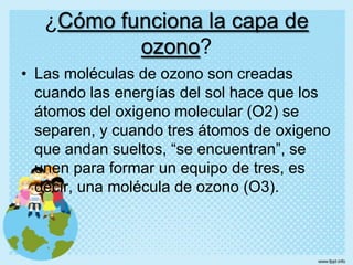 ¿Cómo funciona la capa de ozono?Las moléculas de ozono son creadas cuando las energías del sol hace que los átomos del oxigeno molecular (O2) se separen, y cuando tres átomos de oxigeno que andan sueltos, “se encuentran”, se unen para formar un equipo de tres, es decir, una molécula de ozono (O3).