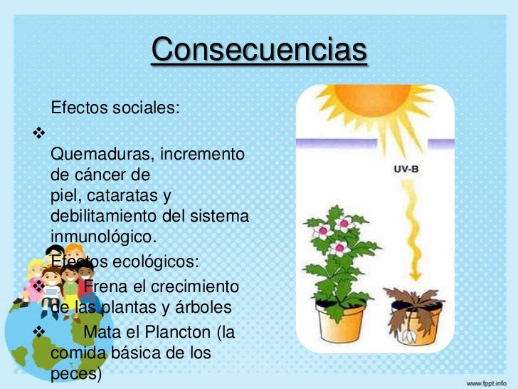 Como adelgazar al enfermo podzheludochnoy