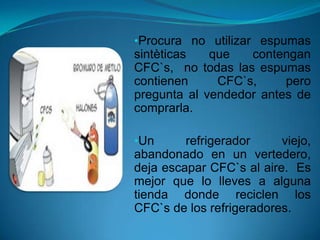 •Procura no utilizar espumas
sintèticas que contengan
CFC`s, no todas las espumas
contienen CFC`s, pero
pregunta al vendedor antes de
comprarla.
•Un refrigerador viejo,
abandonado en un vertedero,
deja escapar CFC`s al aire. Es
mejor que lo lleves a alguna
tienda donde reciclen los
CFC`s de los refrigeradores.
 
