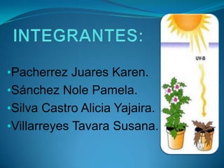 •Pacherrez Juares Karen.
•Sánchez Nole Pamela.
•Silva Castro Alicia Yajaira.
•Villarreyes Tavara Susana.
 