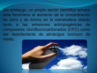 Sin embargo, un amplio sector científico achacó
este fenómeno al aumento de la concentración
de cloro y de bromo en la estratosfera debido
tanto a las emisiones antropogénicas de
compuestos clorofluorocarbonados (CFC) como
del desinfectante de almácigos bromuro de
metilo.
 