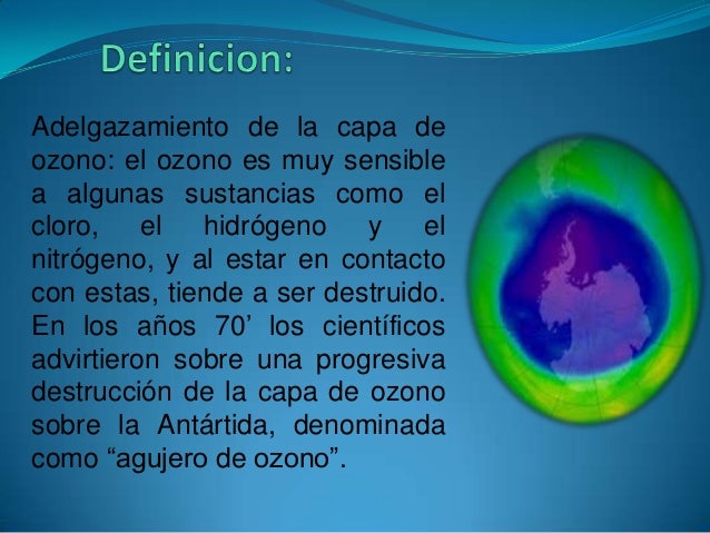 Es cuánta ardilla las grasas los hidratos de carbono en los productos de la alimentación la tabla