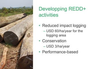 Developping REDD+
activities
• Reduced impact logging
– USD 60/ha/year for the
logging area
• Conservation
– USD 3/ha/year
• Performance-based
 