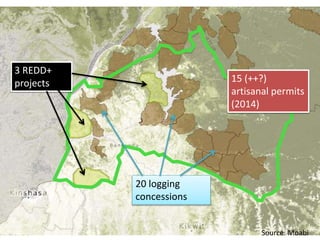 Source: CN REDD
Source: Moabi
20 logging
concessions
3 REDD+
projects 15 (++?)
artisanal permits
(2014)
 