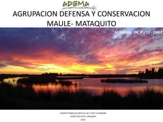 EVENTO PARALELO RED CH LAC / COP 12 RAMSAR
PUNTA DEL ESTE, URUGUAY
2015
AGRUPACION DEFENSA Y CONSERVACION
MAULE- MATAQUITO
HUMEDAL DE PUTÚ - CHILE
 