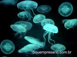 Souempresario.com.br
 