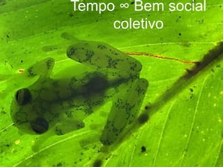 Tempo ∞ Bem social
     coletivo
 