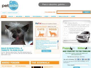 Para o cãozinho, gatinho ...
 