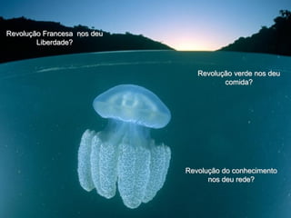Revolução Francesa nos deu
        Liberdade?



                                Revolução verde nos deu
                                       comida?




                             Revolução do conhecimento
                                   nos deu rede?
 