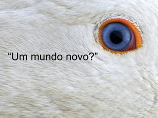 “Um mundo novo?”
 