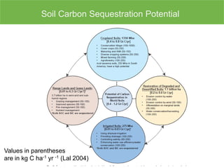 Soil Carbon Sequestration Potential
Values in parentheses
are in kg C ha-1 yr -1 (Lal 2004)
 