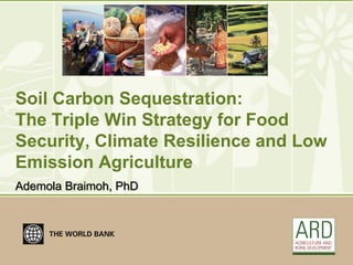 Soil Carbon Sequestration:
The Triple Win Strategy for Food
Security, Climate Resilience and Low
Emission Agriculture
Ademola Braimoh, PhD
 