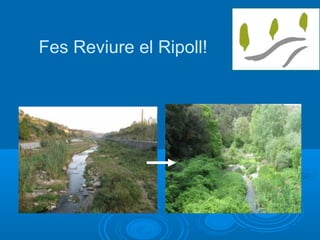 Fes Reviure el Ripoll!
 