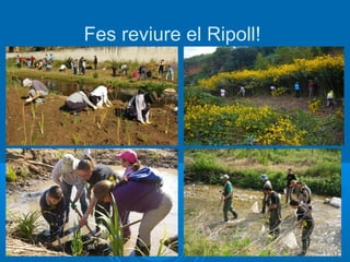 Fes reviure el Ripoll!
 