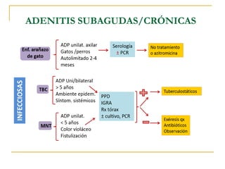 ADENITIS SUBAGUDAS/CRÓNICASINFECCIOSAS
 