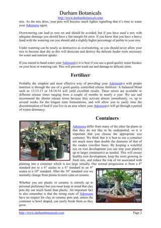 Adenium basic care | PDF