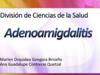 Marlen Orquidea Gongora Briceño 
Ana Guadalupe Contreras Quetzal 
 