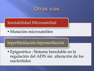 Inestabilidad Microsatelital

• Mutación microsatelites

hiperMetilación-hipometilación

• Epigenética : Sistema heredable en la
  regulación del ADN sin alteración de los
  nucleótidos
 