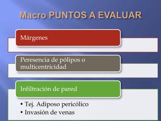 Márgenes


Peresencia de pólipos o
multicentricidad


Infiltración de pared

• Tej. Adiposo pericólico
• Invasión de venas
 