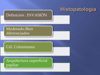 Definición : INVASIÓN


Moderado-Bien
diferenciados


Cél. Columnares


Arquitectura superficial
papilar
 