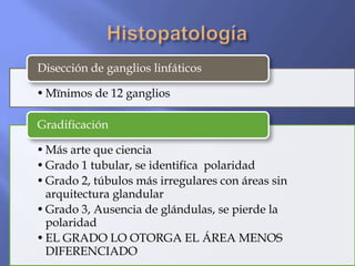 Disección de ganglios linfáticos

• Mïnimos de 12 ganglios

Gradificación

• Más arte que ciencia
• Grado 1 tubular, se identifica polaridad
• Grado 2, túbulos más irregulares con áreas sin
  arquitectura glandular
• Grado 3, Ausencia de glándulas, se pierde la
  polaridad
• EL GRADO LO OTORGA EL ÁREA MENOS
  DIFERENCIADO
 