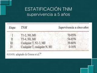ESTATIFICACIÓN TNM
supervivencia a 5 años
 