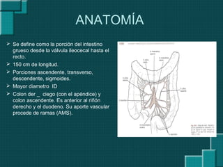 ANATOMÍA
 Se define como la porción del intestino
grueso desde la válvula ileocecal hasta el
recto.
 150 cm de longitud.
 Porciones ascendente, transverso,
descendente, sigmoides.
 Mayor diametro ID
 Colon der _ ciego (con el apéndice) y
colon ascendente. Es anterior al riñón
derecho y el duodeno. Su aporte vascular
procede de ramas (AMS).
 