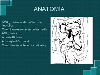 ANATOMÍA
AMS _ cólica media, cólica der,
ileocolica.
Colon transverso ramas cólica media
AMI _ colica izq,
Arco de Riolano
Art marginal Droumod
Colon descendente ramas colica izq.
 