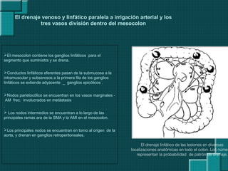El drenaje venoso y linfático paralela a irrigación arterial y los
tres vasos división dentro del mesocolon
El mesocolon contiene los ganglios linfáticos para el
segmento que suministra y se drena.
Conductos linfáticos eferentes pasan de la submucosa a la
intramuscular y subserosos a la primera fila de los ganglios
linfáticos se extiende adyacente _ ganglios epicólicos .
Nodos parietocólico se encuentran en los vasos marginales -
AM frec. involucrados en metástasis
.
 Los nodos intermedios se encuentran a lo largo de las
principales ramas ara de la SMA y la AMI en el mesocolon.
Los principales nodos se encuentran en torno al origen de la
aorta, y drenan en ganglios retroperitoneales.
El drenaje linfático de las lesiones en diversas
localizaciones anatómicas en todo el colon. Los númer
representan la probabilidad de patrón de drenaje.
 