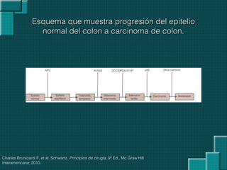 Esquema que muestra progresión del epitelioEsquema que muestra progresión del epitelio
normal del colon a carcinoma de colon.normal del colon a carcinoma de colon.
Charles Brunicardi F, et al. Schwartz. Principios de cirugía, 9ª Ed., Mc Graw Hill
Interamericana; 2010.
 