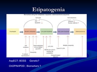Etipatogenia




AspECT; BOSS    Genetic?

ChOPIN/IPOD ; Biomarkers ?
 