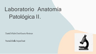 Laboratorio Anatomía
Patológica II.
Docente:Dr.RubénDaríoRosarioAlmánzar.
Presentado:EstrellitaAmparoDuarte
 