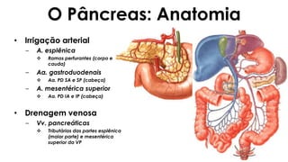 O Pâncreas: Anatomia
• Irrigação arterial
– A. esplênica
 Ramos perfurantes (corpo e
cauda)
– Aa. gastroduodenais
 Aa. PD SA e SP (cabeça)
– A. mesentérica superior
 Aa. PD IA e IP (cabeça)
• Drenagem venosa
– Vv. pancreáticas
 Tributárias das partes esplênica
(maior parte) e mesentérica
superior da VP
 