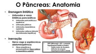 O Pâncreas: Anatomia
• Drenagem linfática
– Linfonodos e vasos
linfáticos pancreáticos
 Linfonodos pancreáticos e
esplênicos
 Linfonodos pilóricos
 Linfonodos mesentéricos
superiores
 Linfonodos celíacos (através
dos linfonodos hepáticos)
• Inervação
– Nervo vago e esplâncnicos
abdominopélvicos
 Fibras simpáticas e
parassimpáticas: Plexo celíaco
e mesentérico superior
• DPP (Wirsung) + DC = ampola
hepatopancreática (Vater)
– Papila maior do duodeno
– Esfíncter da ampola
hepatopancreática (Oddi)
 