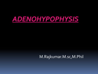 ADENOHYPOPHYSIS
M.Rajkumar.M.sc,M.Phil
 