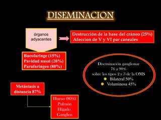 ANGIOFIBROMA NASOFARINGEO JUVENILSospecha: Adolescente + obstrucción nasal + epistaxis + tumoración en nasofaringe o nariz.0.05% de tumores de cabeza y cuello.Media de 15 años en ♂.Se origina en nasofaringecrecer a lo largo de agujeros y fisurasTumor muy vascularizadoTejido androgenodependiente,.Angiografía carotidea, para la embolizacion arterial preoperatoria