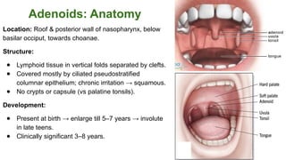 Adenoid Hypertrophy, Snoring and Obstructive Sleep Apnoea Syndrome.pptx