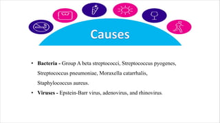 • Bacteria - Group A beta streptococci, Streptococcus pyogenes,
Streptococcus pneumoniae, Moraxella catarrhalis,
Staphylococcus aureus.
• Viruses - Epstein-Barr virus, adenovirus, and rhinovirus.
 